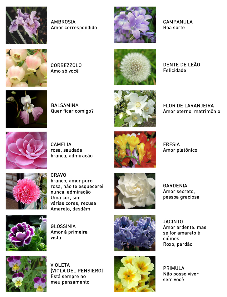 flores que representam fidelidade