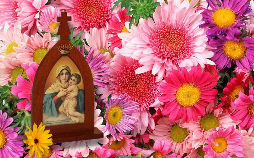 decoração com flores de maio