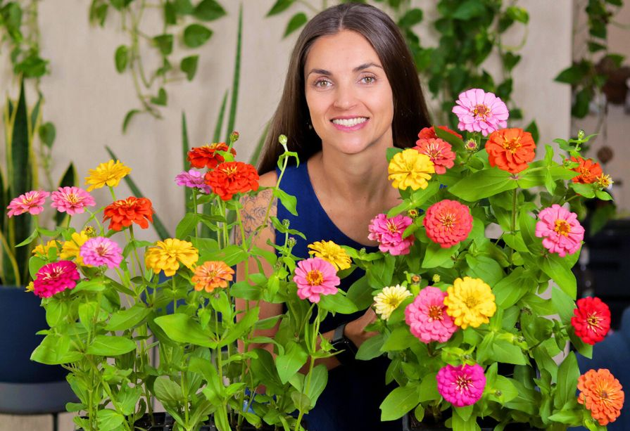 flores de jardim para espaços reduzidos