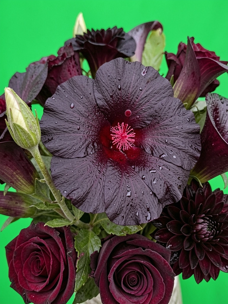 Buquê com flores escuras de diferentes espécies sobre fundo neutro