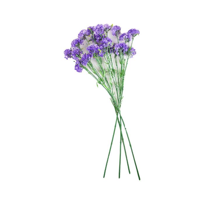 cultivo de flores roxas