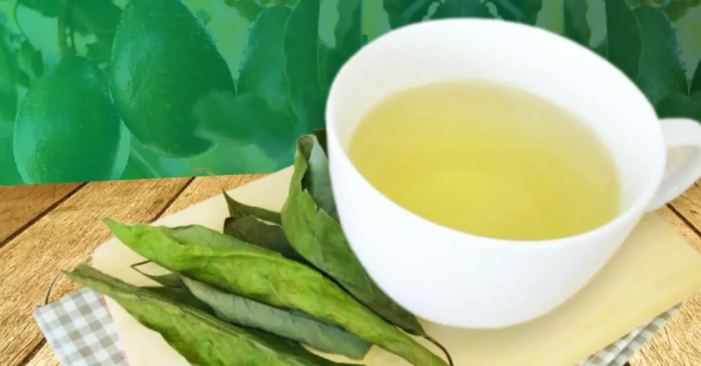 chá verde benefícios