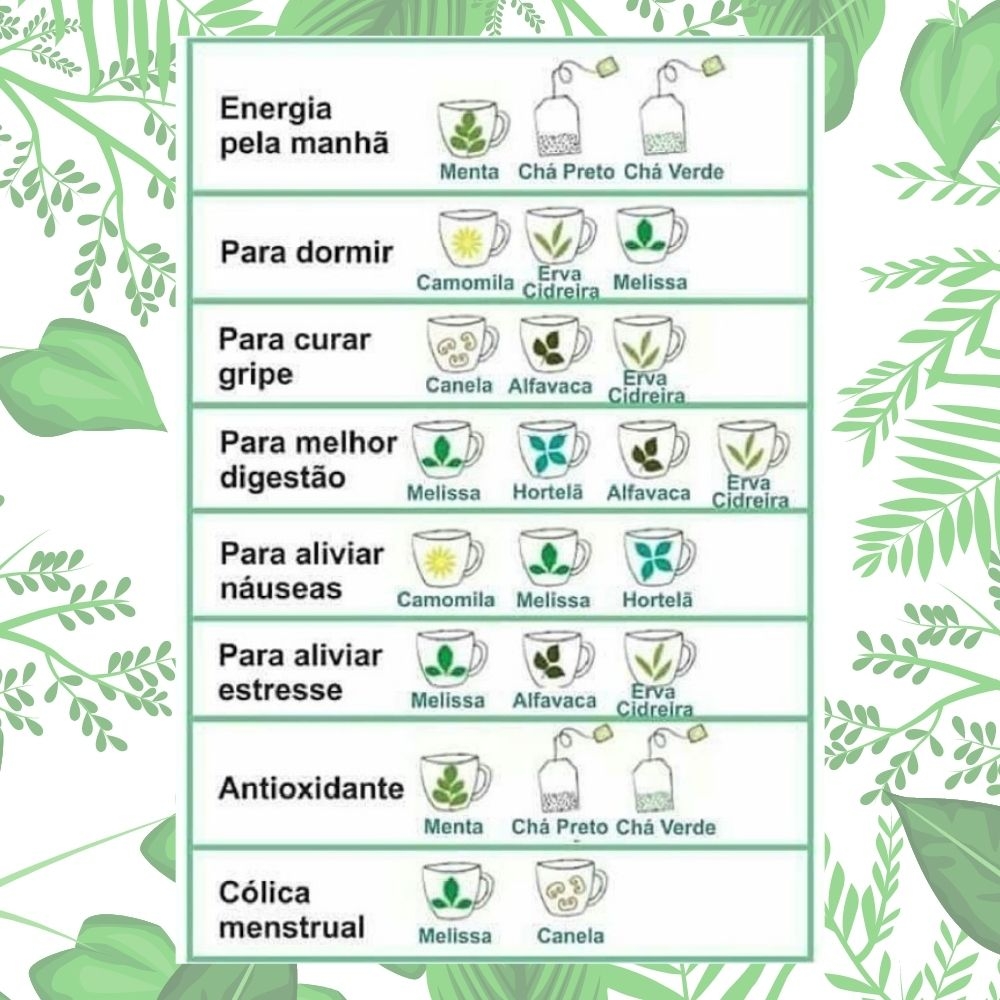 preparo de infusões e decocções