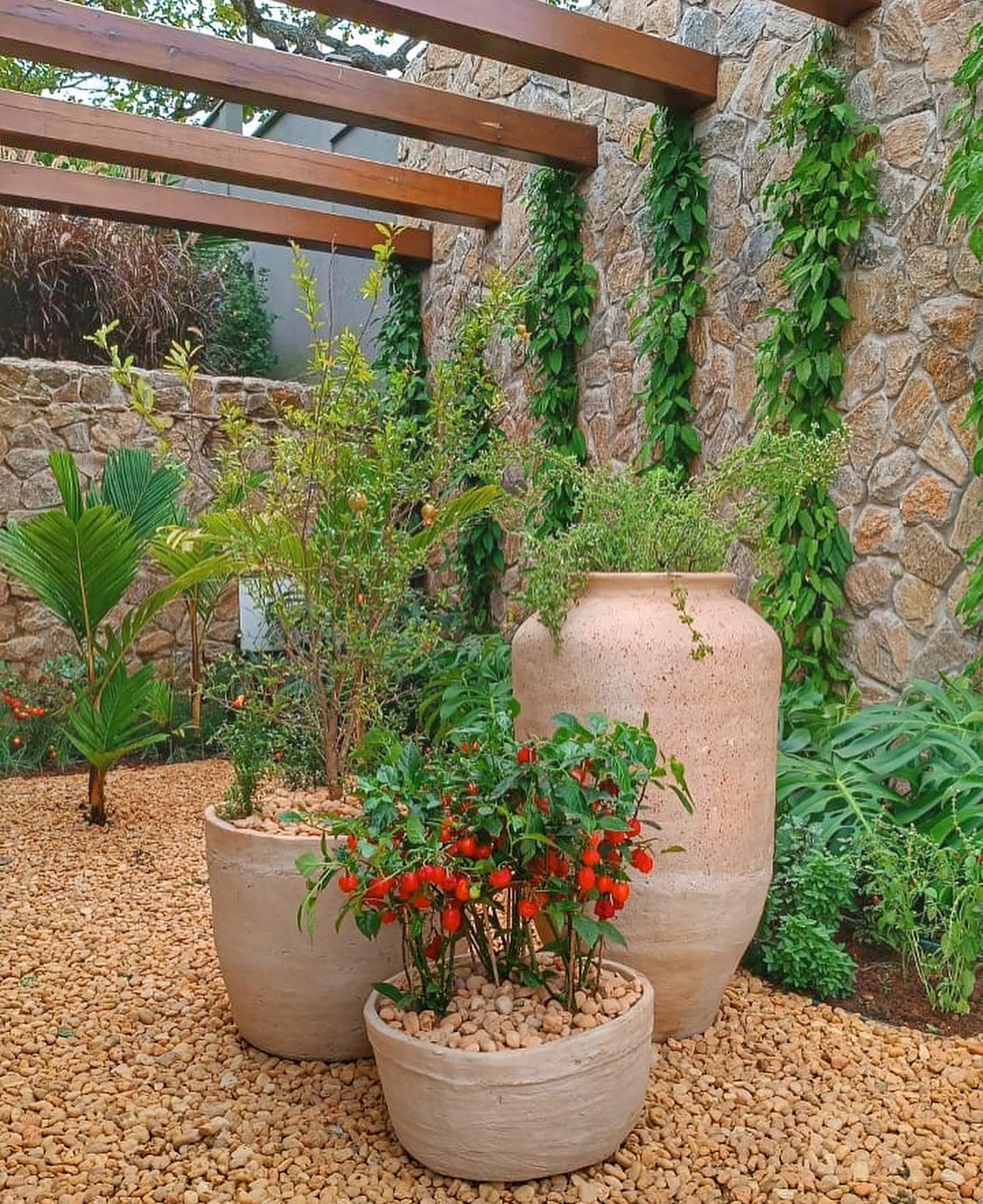 caminho de jardim com pedras naturais