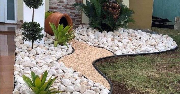 plantas para jardim de pedras