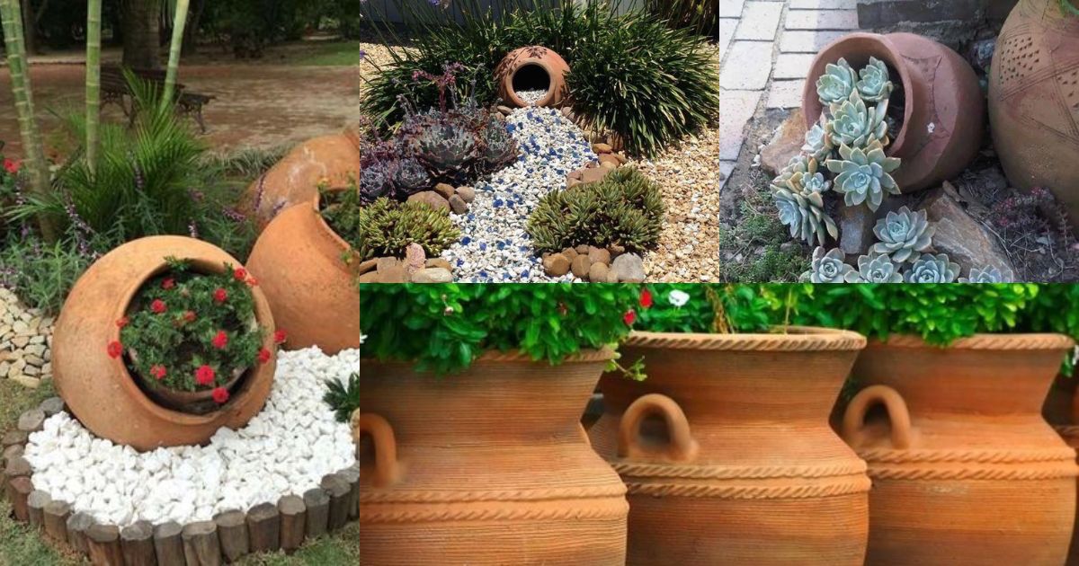 plantas para vasos de barro e pedras