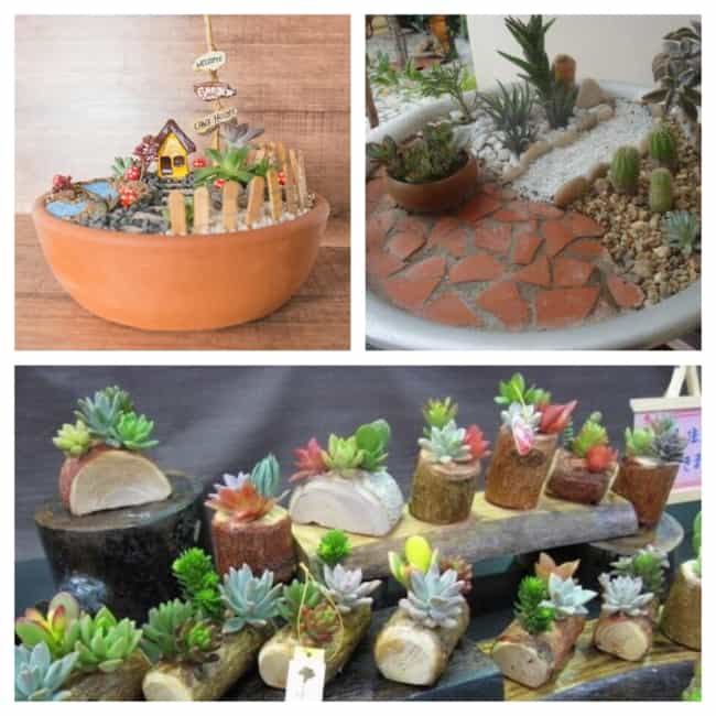 jardim de baixa manutenção com terracota