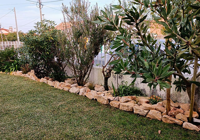 paisagismo com pedras e plantas