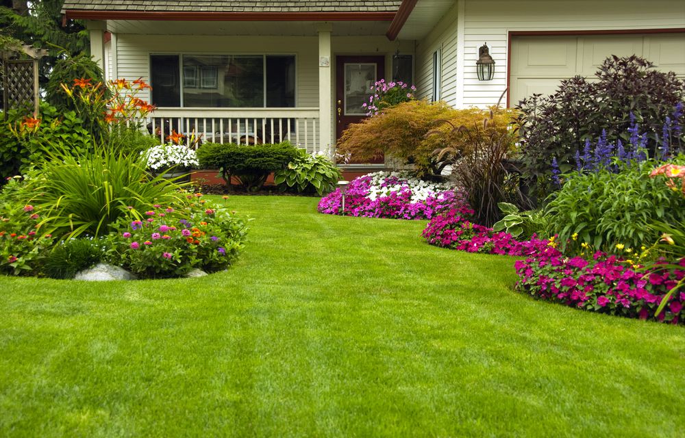 plantas para jardim frontal