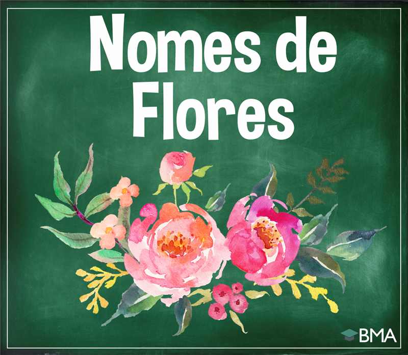 flores com nomes curiosos