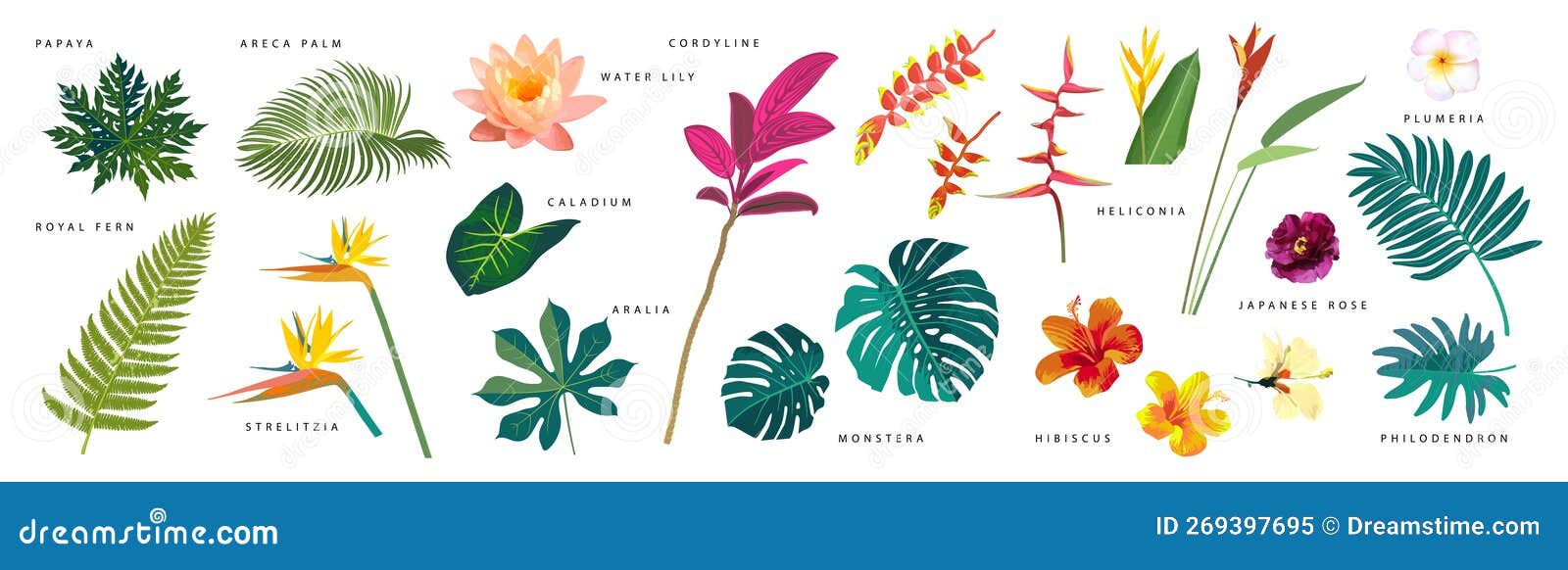 flores exóticas para jardim