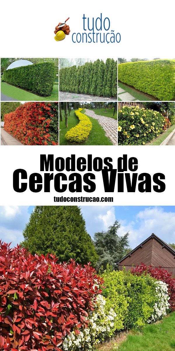 cerca viva espinhosa