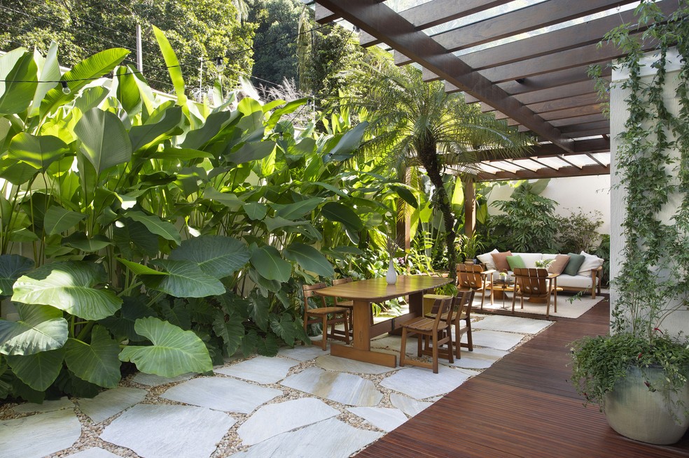 Plantas tropicais para jardim