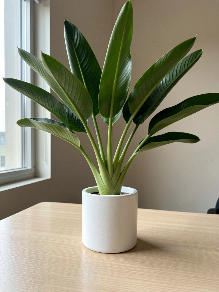 Vaso com folhas verdes de pacová sobre mesa de escritório, com luz indireta vinda de uma janela ao fundo.