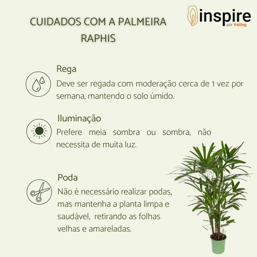 palmeira ráfis é tóxica