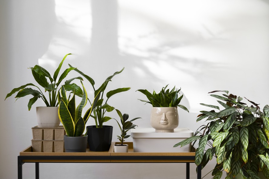 plantas para apartamento