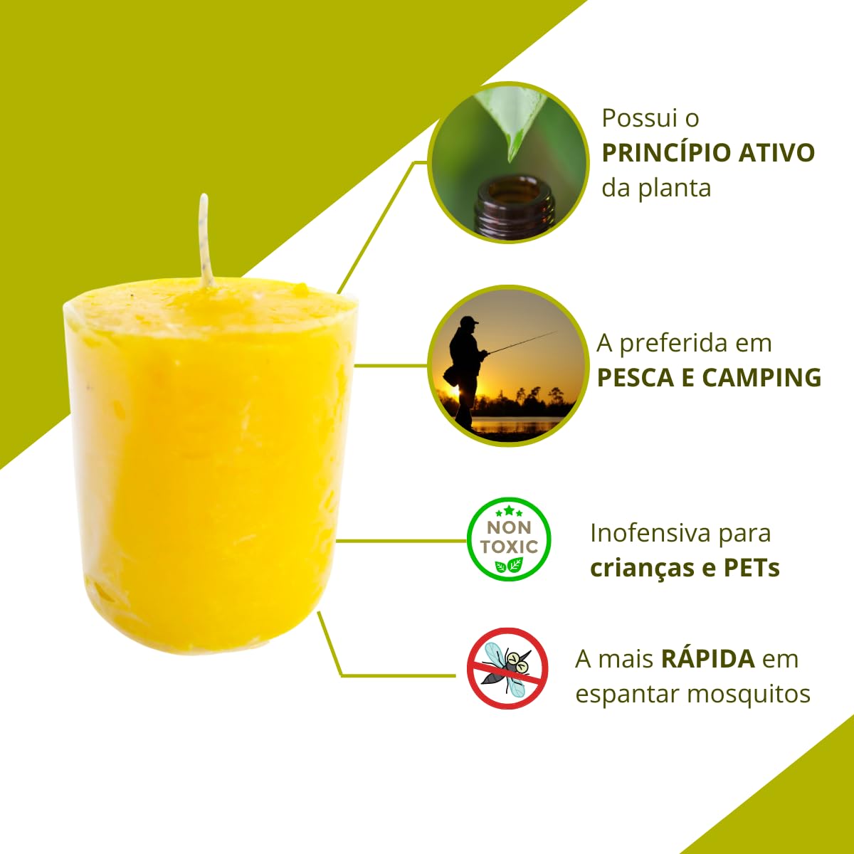 ervas aromáticas contra moscas