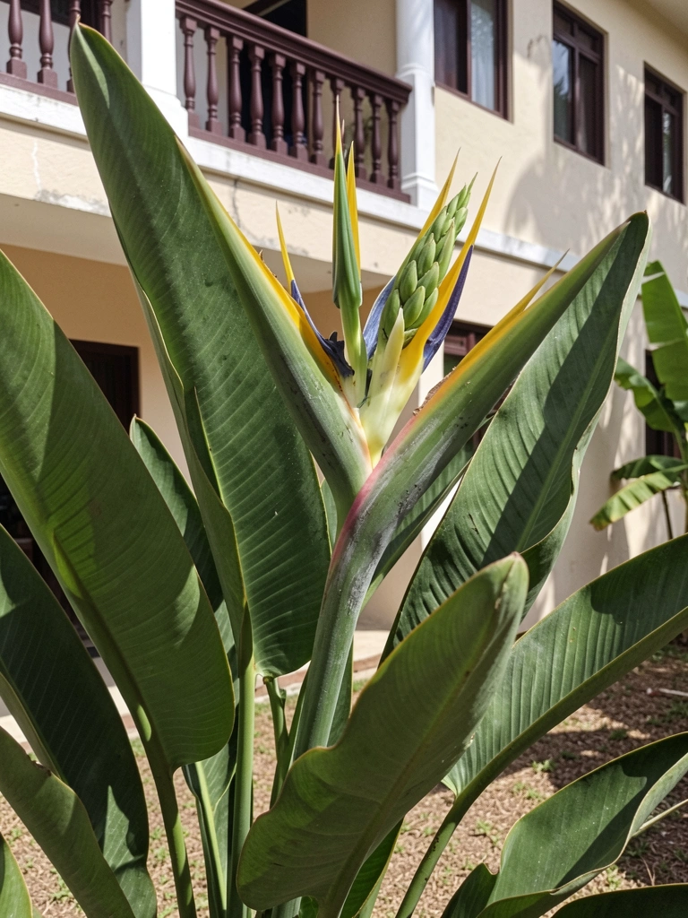 Fachada de casa com áreas de luz e sombra marcadas pela incidência solar