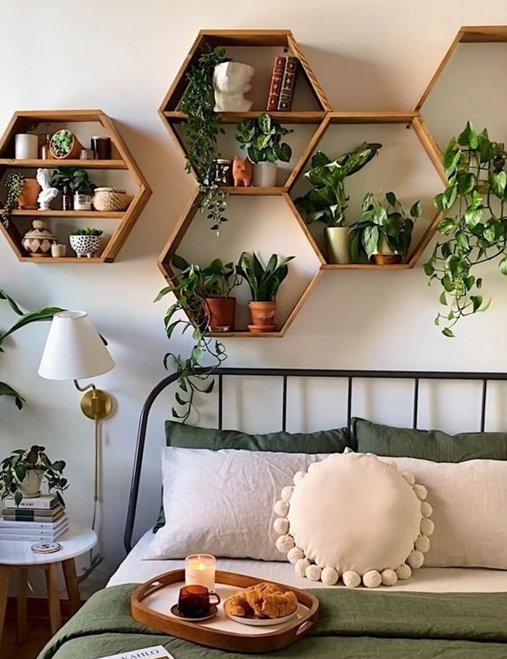 benefícios das plantas no quarto