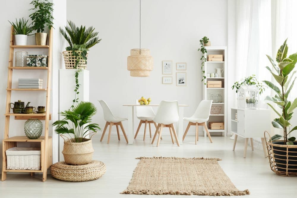 plantas para decorar ambientes internos