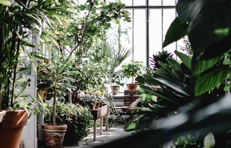 jardim de inverno em apartamento