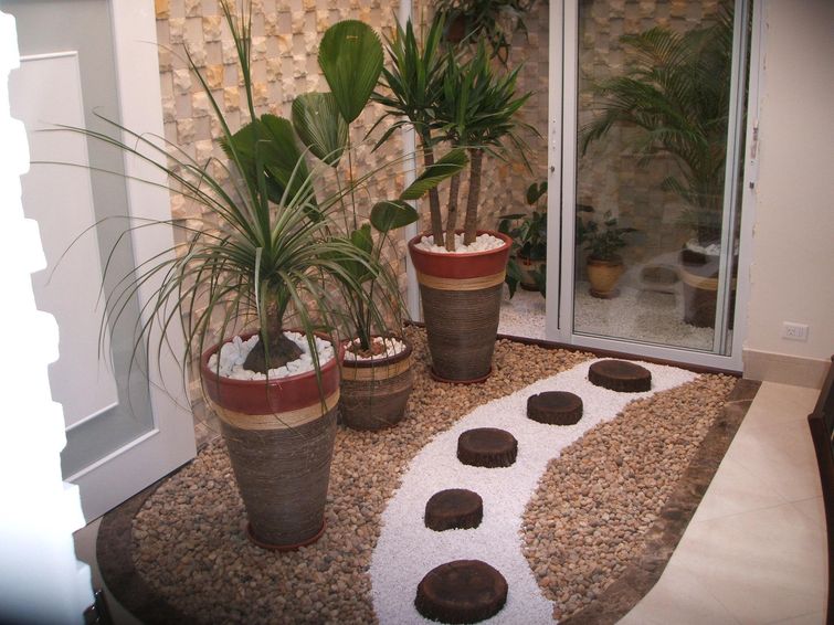 plantas que purificam o ar interior