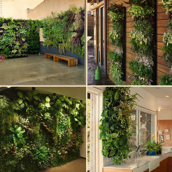 plantas para jardim interno com pouca luz