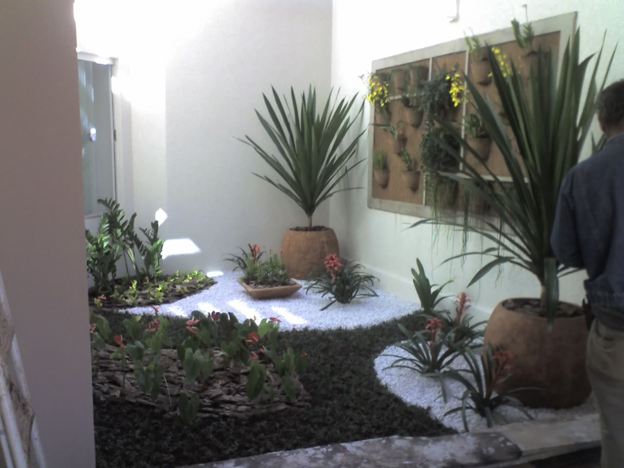 melhores plantas para varanda fechada