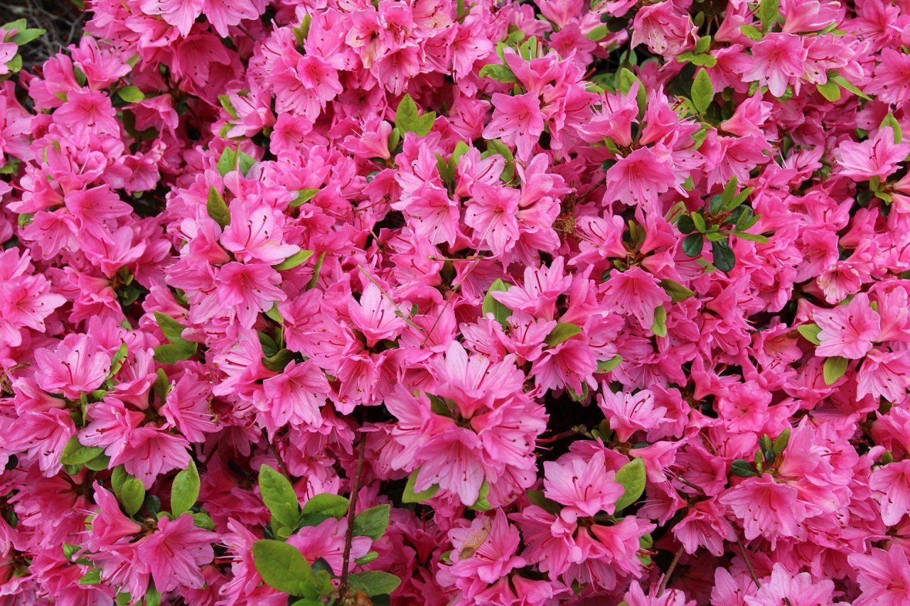 jardim de inverno em apartamento