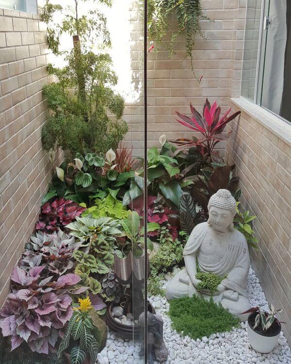 plantas resistentes para ambientes internos