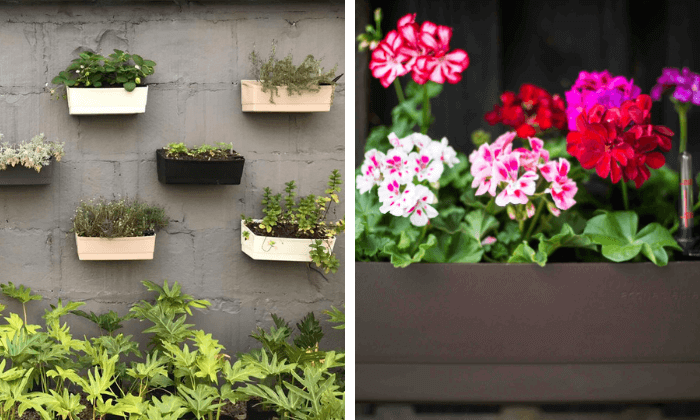 decoração com plantas em espaços pequenos