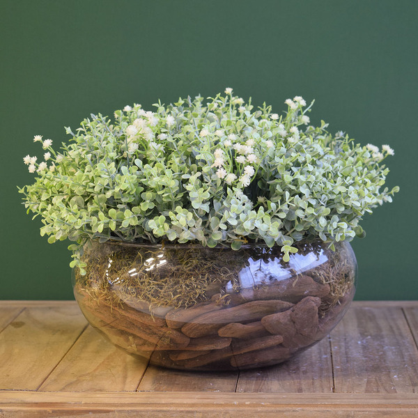 plantas de interior para mesa