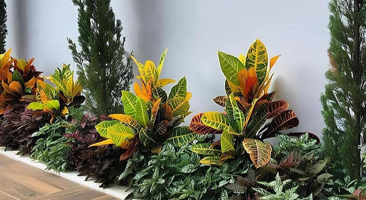 jardim vertical em muro baixo