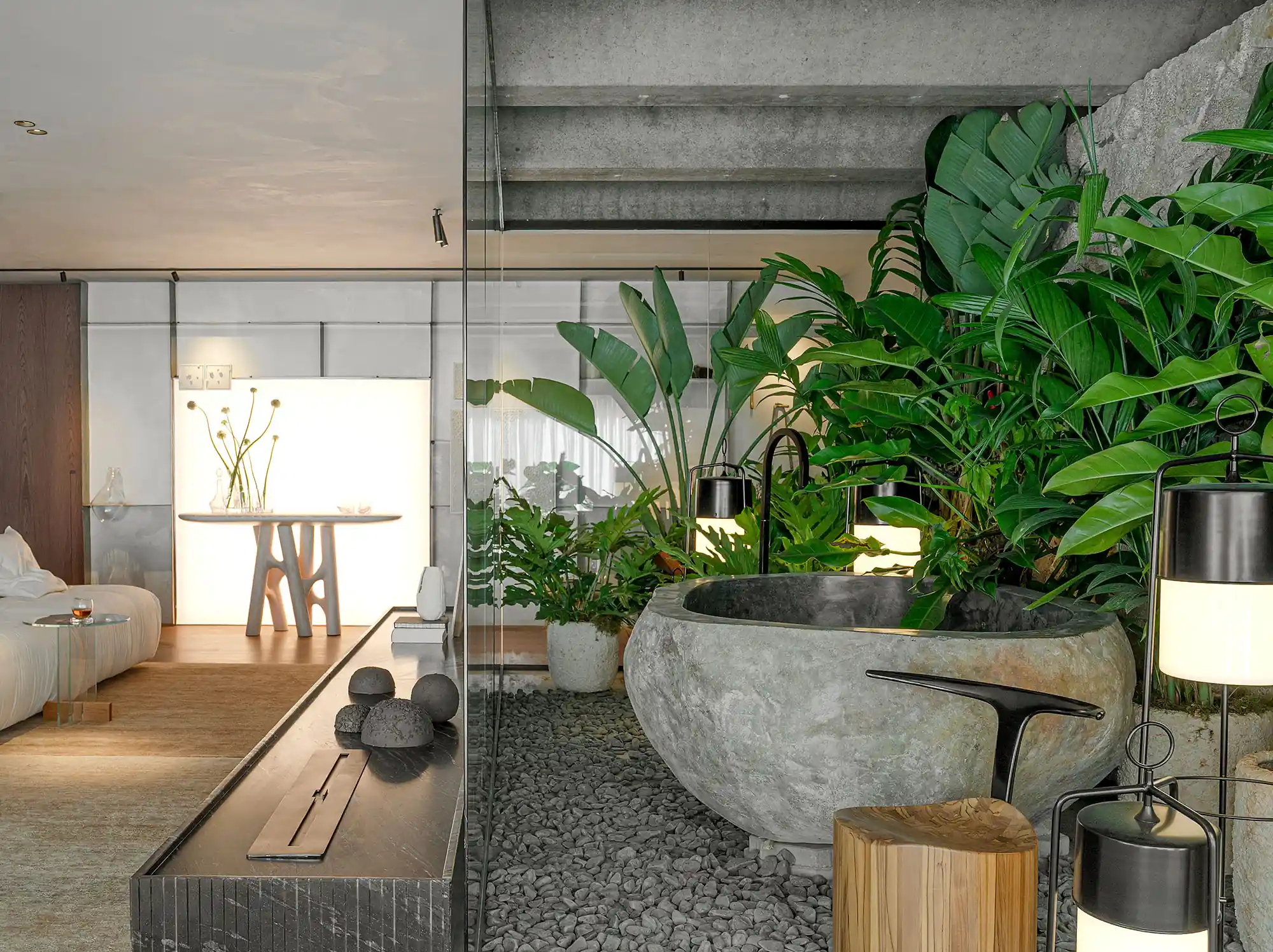 plantas que não precisam de sol