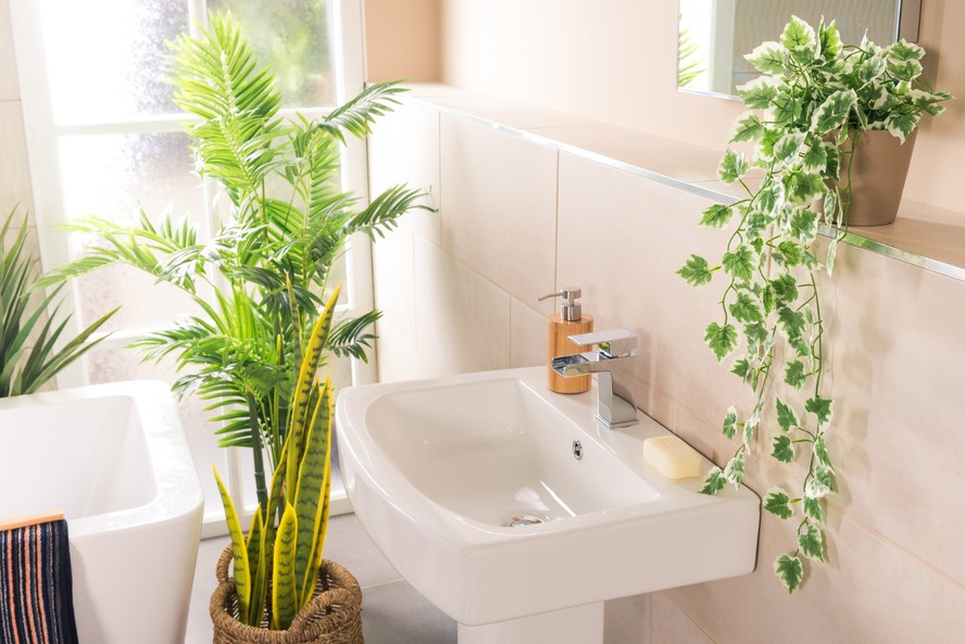 plantas para banheiro sem janela