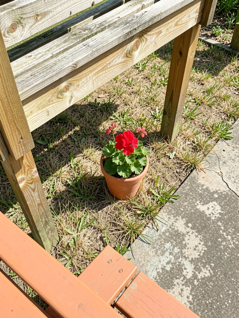 Vasos de cerâmica com plantas de folhagem verde sobre piso de concreto em ambiente fechado.