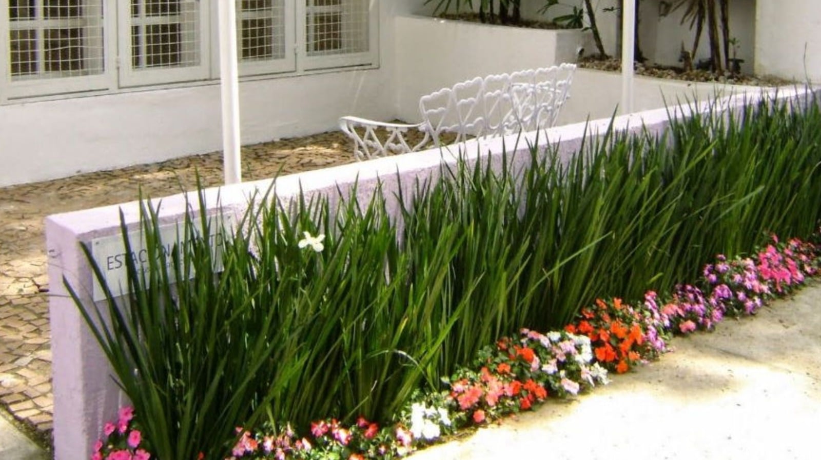 paisagismo de muros residenciais