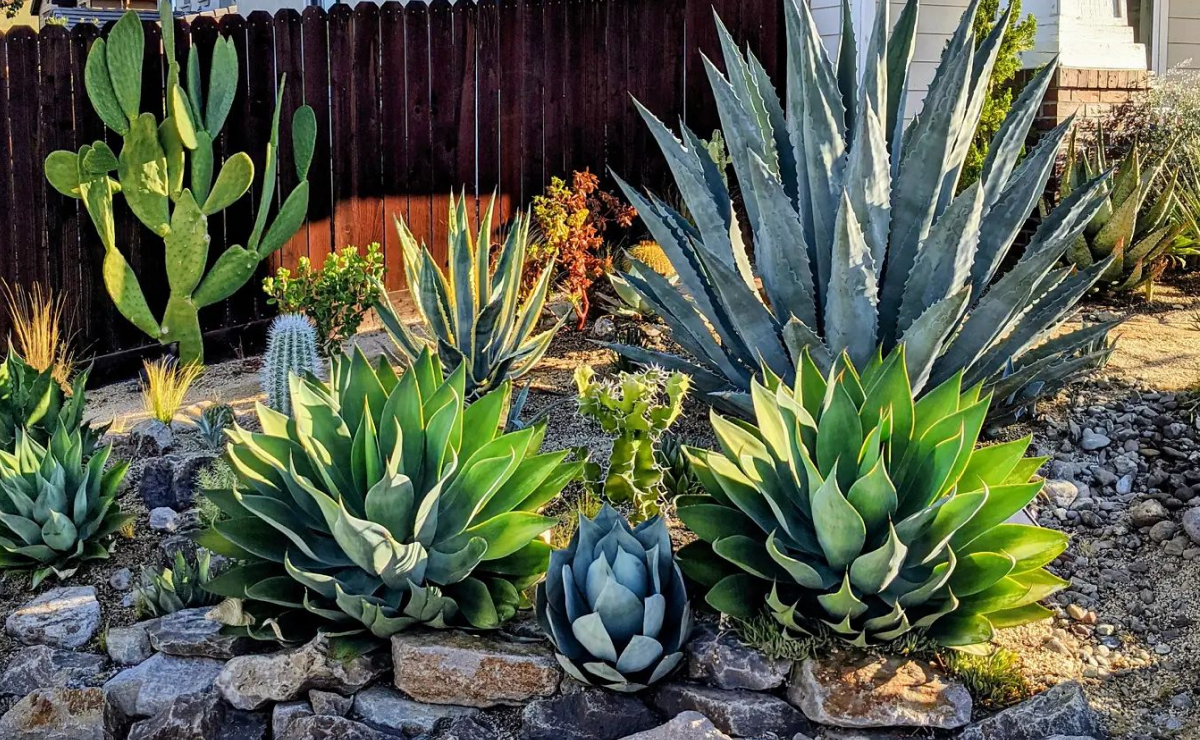 jardim suspenso pequeno