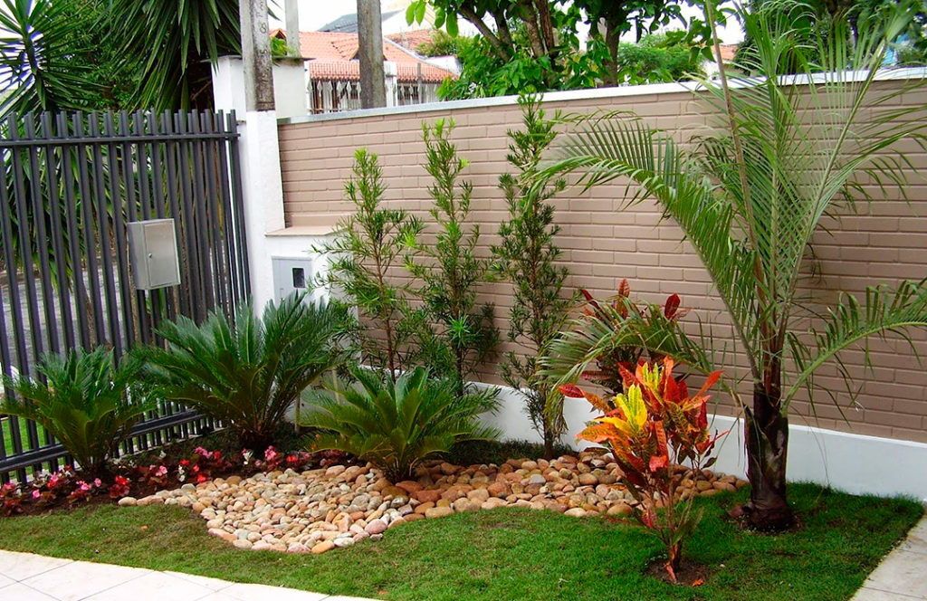 plantas resistentes para quintal