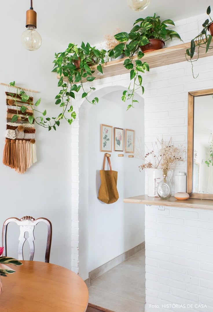 plantas que purificam o ar para apartamento
