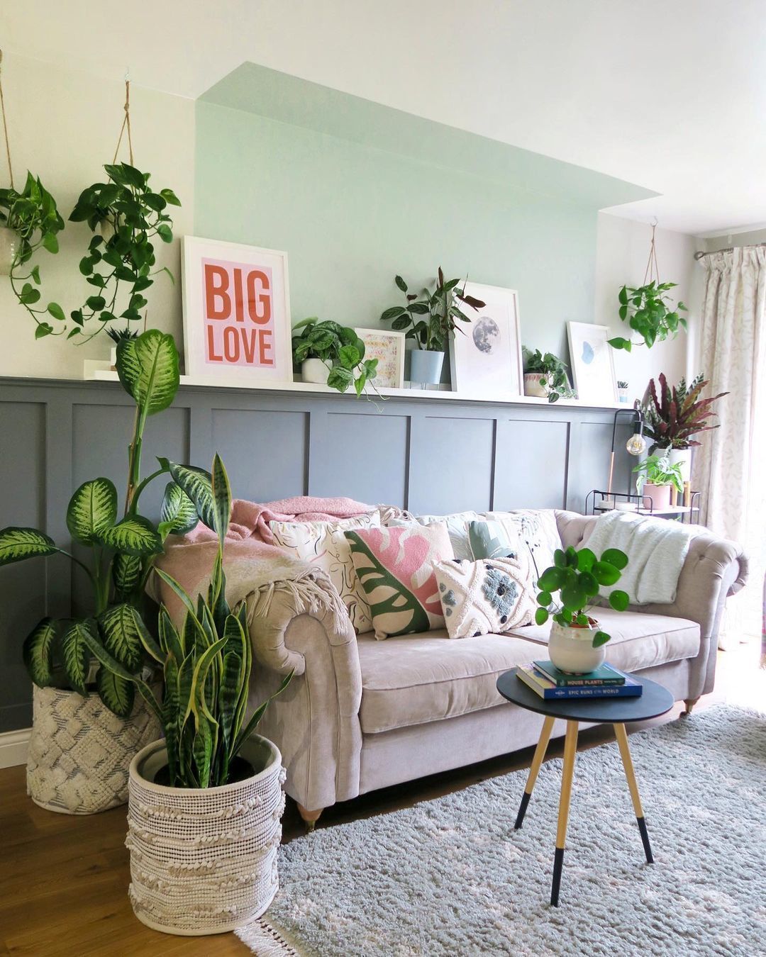 plantas para sala com pouca luz