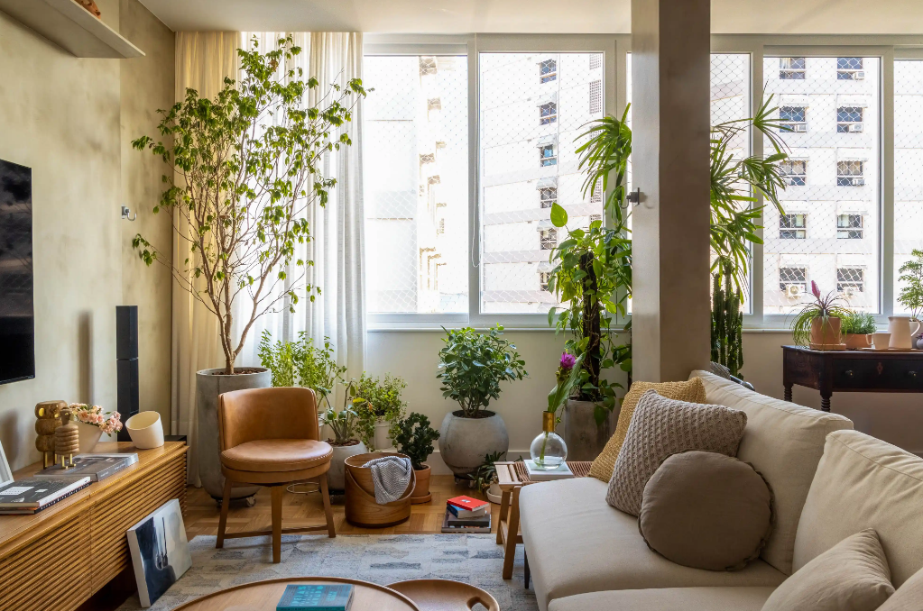plantas pendentes para apartamento