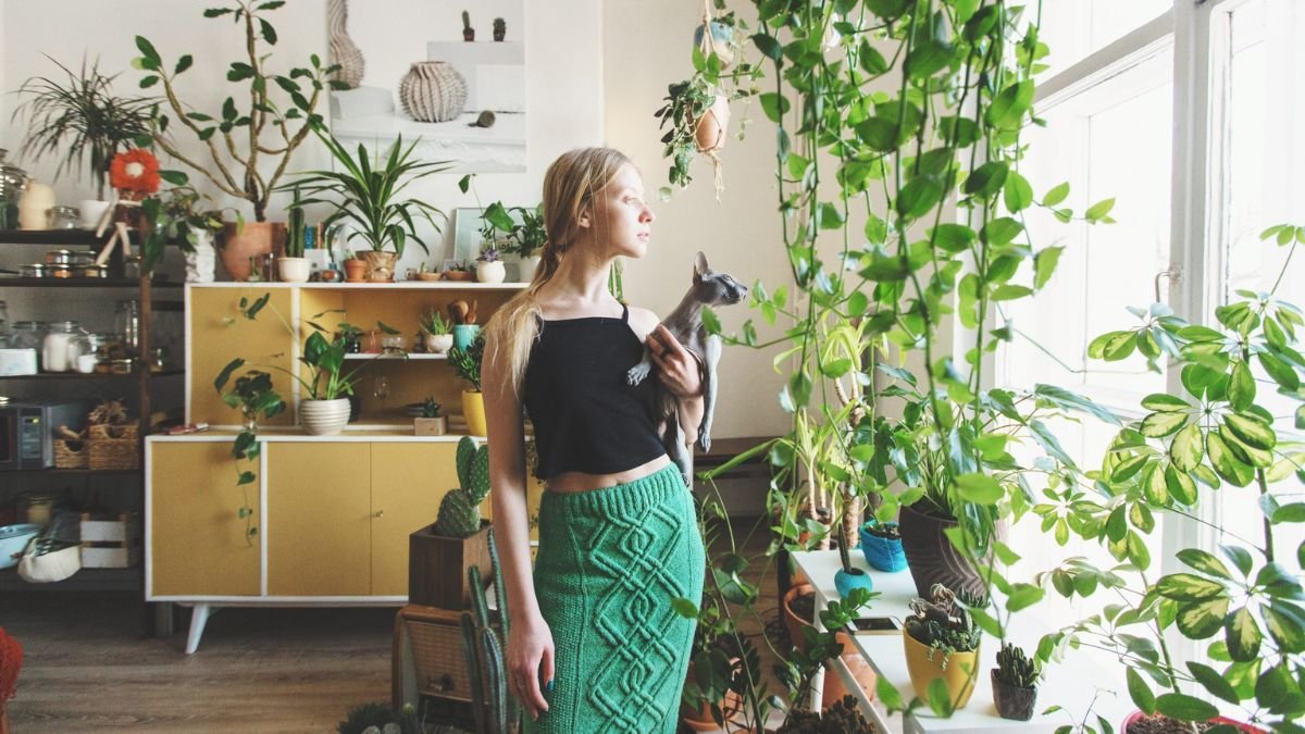 melhores plantas para iniciantes em apartamento