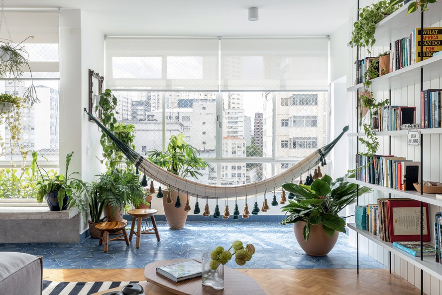 cuidados com plantas em apartamento