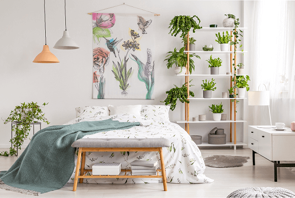 plantas que dormem bem