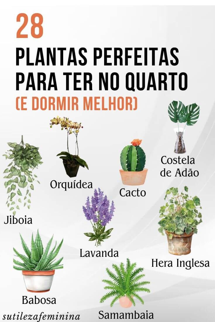 plantas que não precisam de sol para quarto