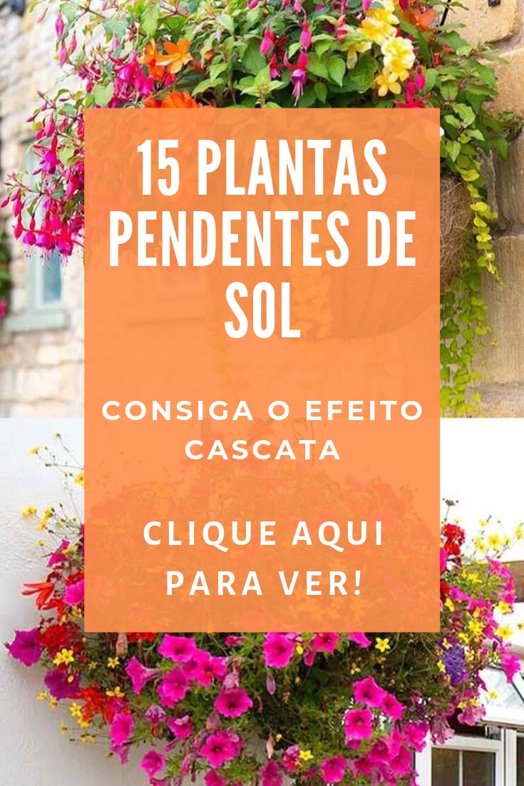 vasos suspensos para sol pleno