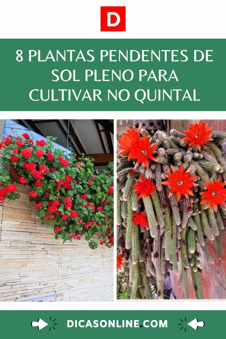 jardim vertical sol pleno