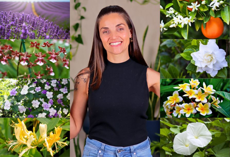 flores cheirosas para jardim