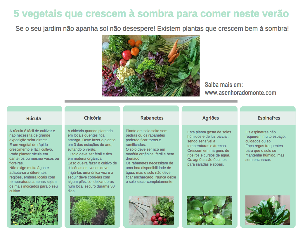espécies de plantas para varandas sombreadas